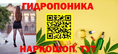гашик Трёхгорный