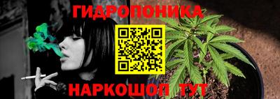apvp Троицк