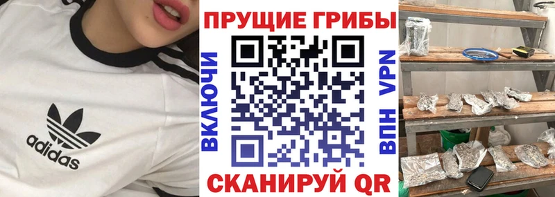darknet как зайти  купить наркоту  Апрелевка  Псилоцибиновые грибы мицелий 