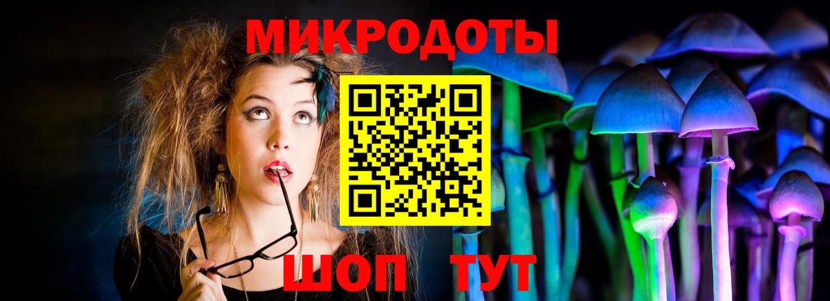 Галлюциногенные грибы Cubensis Апрелевка