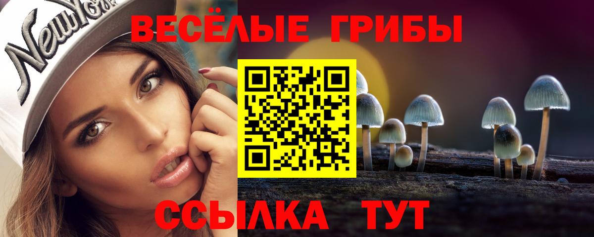 Галлюциногенные грибы Cubensis  Галлюциногенные грибы Magic Shrooms  Вход с VPN  Апрелевка 